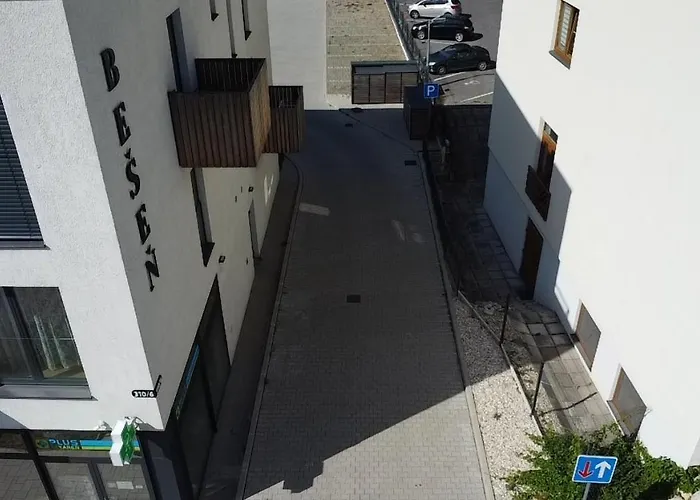 Besen 307